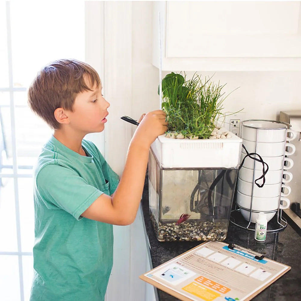 Back to the Roots 3 Gal. Self-Cleaning Aquaponic Water Garden Fish Tank Aquarium