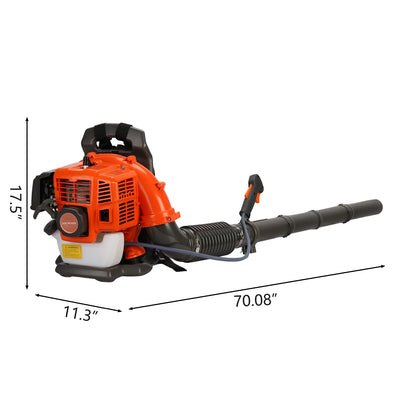 Birinta 1 Set Leaf Blower Backpack Style 52CC Two-stroke 1.25 KW Adjustable Tube Gas Powered Dust Blower Supplies for Garden Patio Cleaning, Lawn Care, Blowing Leaves and Dust