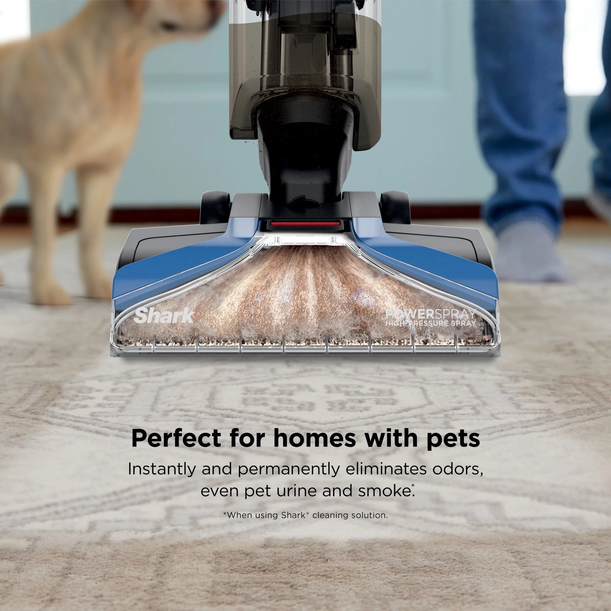 Shark? CarpetXpert? Upright Carpet & Area Rug Cleaner, Perfect for Pets, Lightweight & Powerful, Dirt, Grime, & Odor Removal, Carpet Shampooer, Cleaning Solution, Blue, EX121BRN
