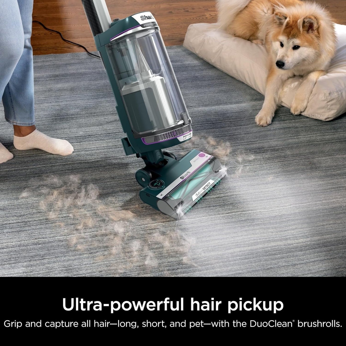 Restored SHARK AZ4000 POWERDETECT Upright Vacuum Cleaner with DuoClean Technology, Odor Neutralizer Technology, Powered Lift-Away, Self Cleaning Brushroll (Refurbished)