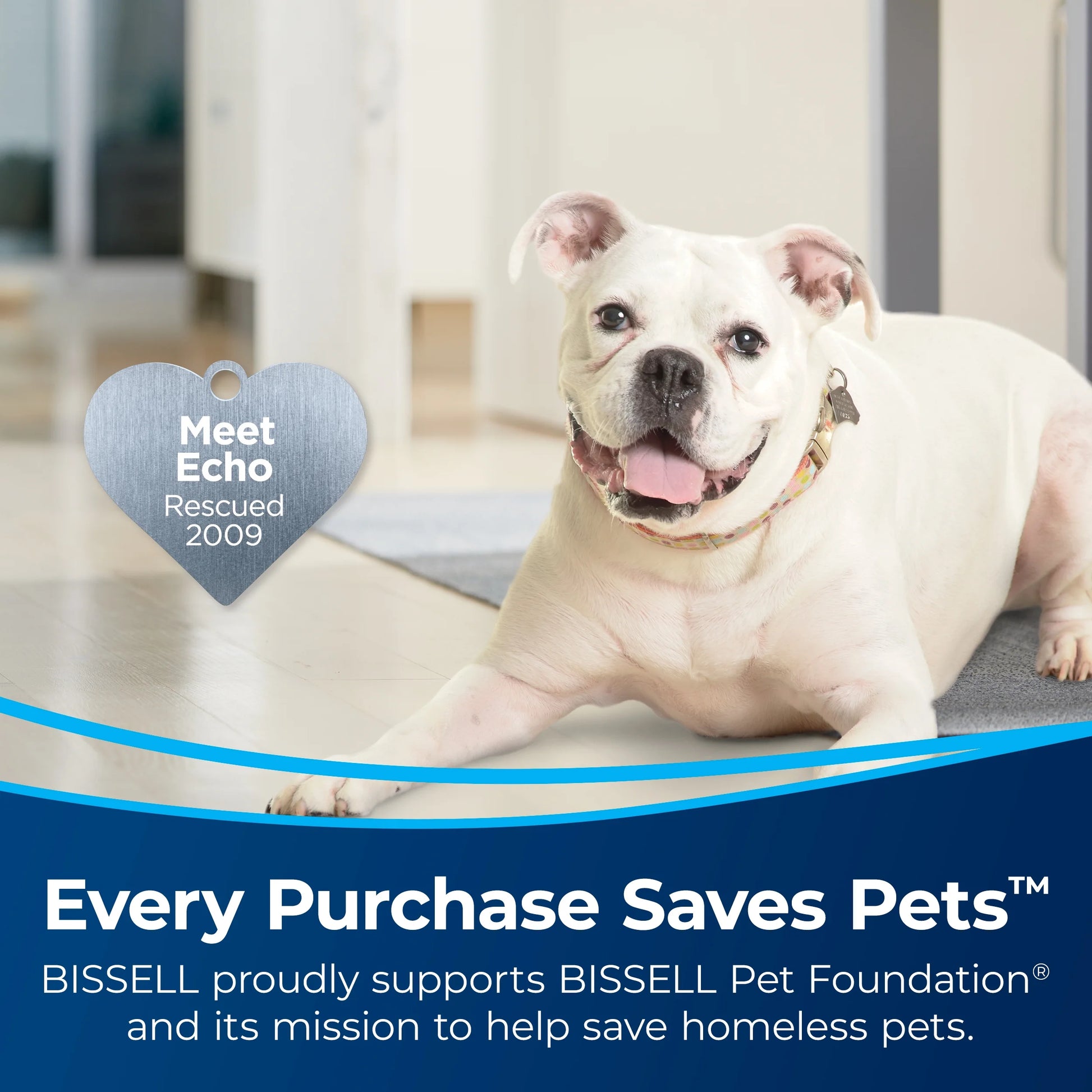BISSELL Pro Heat 2X Revolution Pet Carpet Cleaner, 3578 & BISSELL Advanced Pro Max Clean + Protect Deep Cleaning Carpet Formula, 50 oz, 70E1