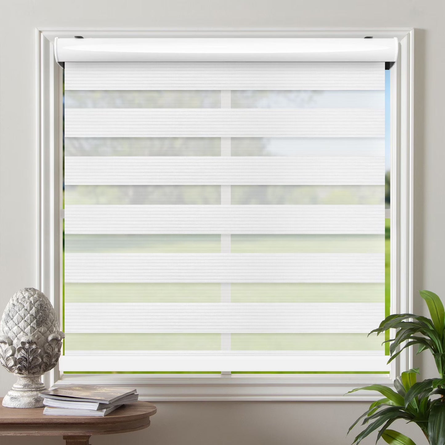 Zebra Cordless Window Blinds, Dual Layered Light Filtering Roller Shades, Easy Install Blinds, Indoor Home Decor, Pull-Down Shades for Windows, Light Control for Day & Night, Black, 22"W X 72"H