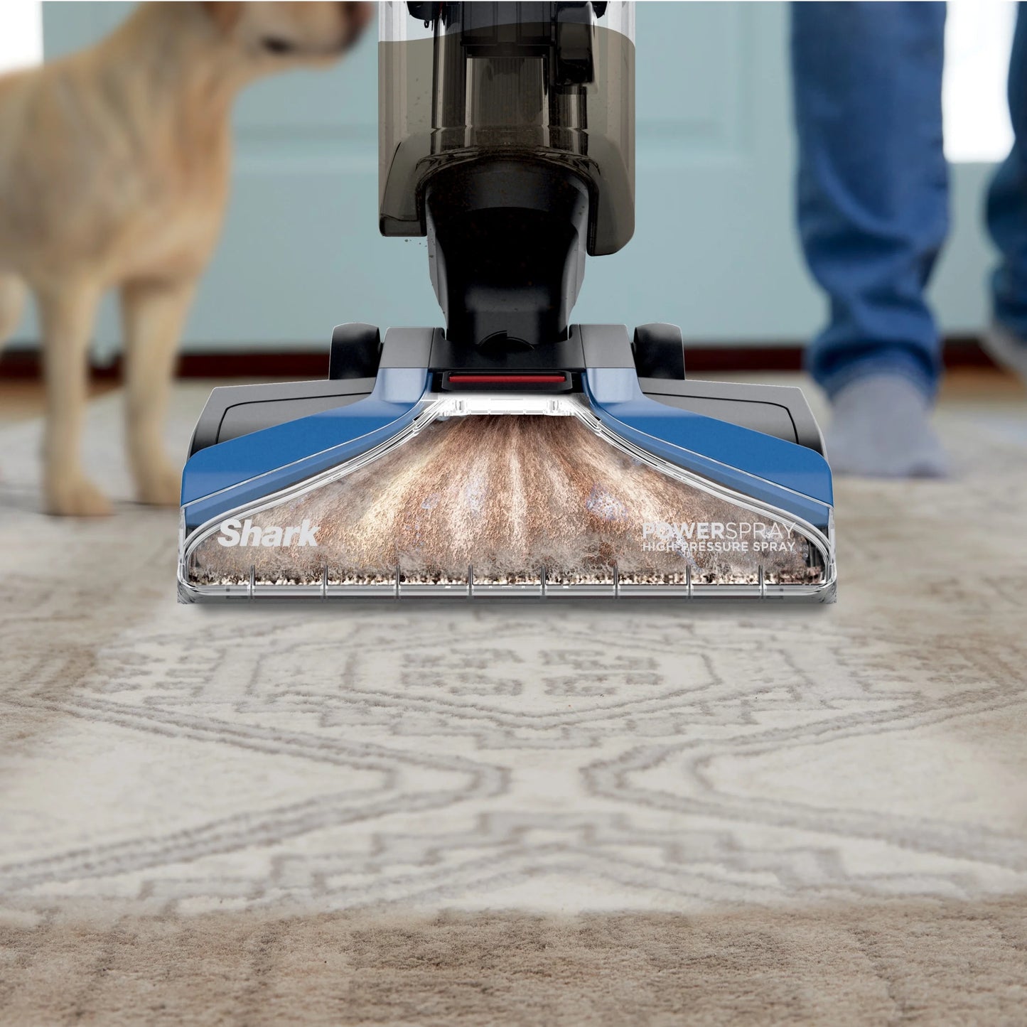 Shark? CarpetXpert? Upright Carpet & Area Rug Cleaner, Perfect for Pets, Lightweight & Powerful, Dirt, Grime, & Odor Removal, Carpet Shampooer, Cleaning Solution, Blue, EX121BRN
